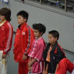 4th world junior wushu 11